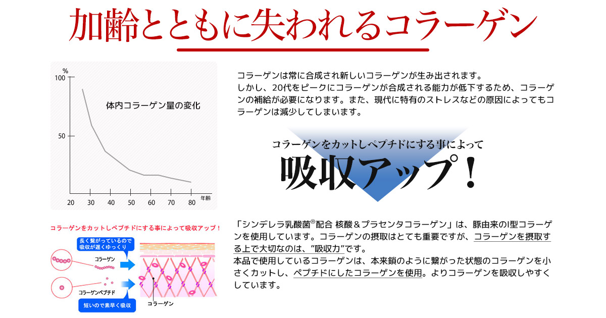 シンデレラ乳酸菌®(H61株乳酸菌)配合 核酸＆プラセンタコラーゲン