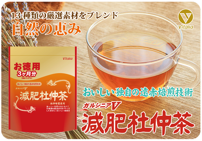 ガルシニアＶ減肥杜仲茶