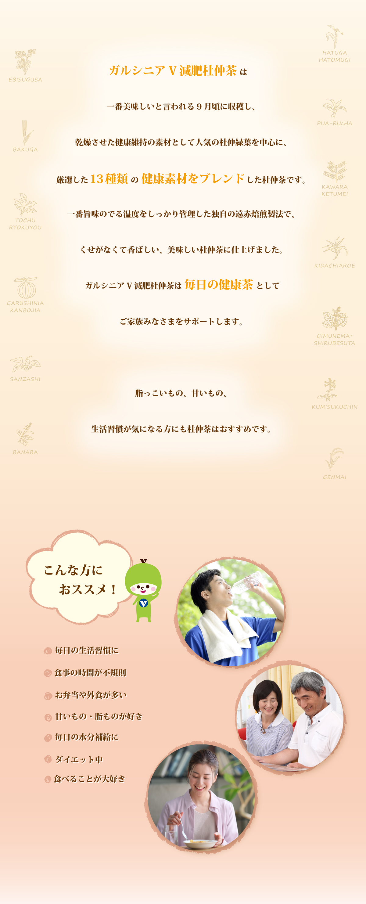 ガルシニアＶ減肥杜仲茶