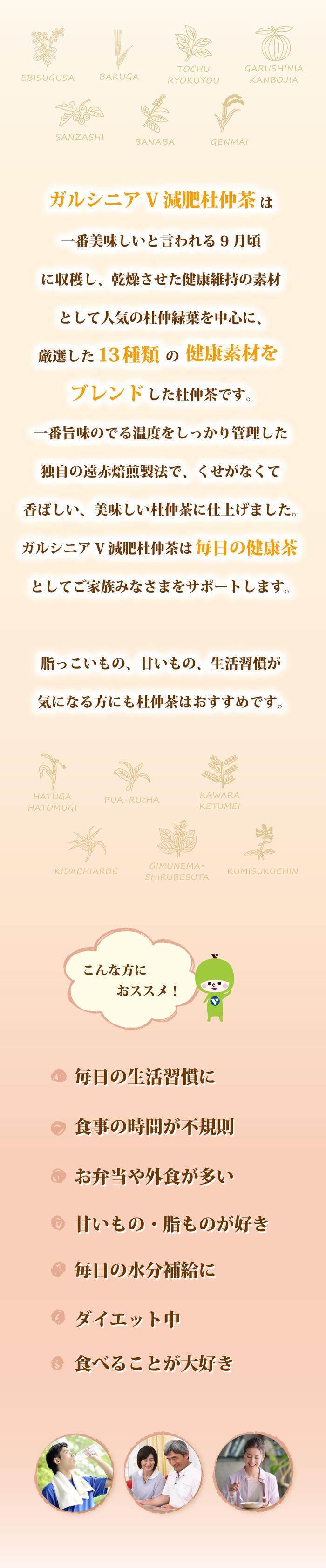 ガルシニアＶ減肥杜仲茶