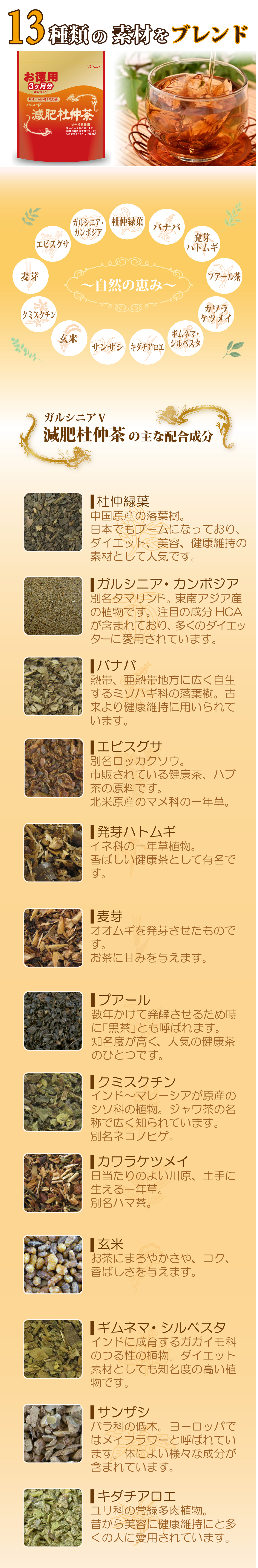 ガルシニアＶ減肥杜仲茶