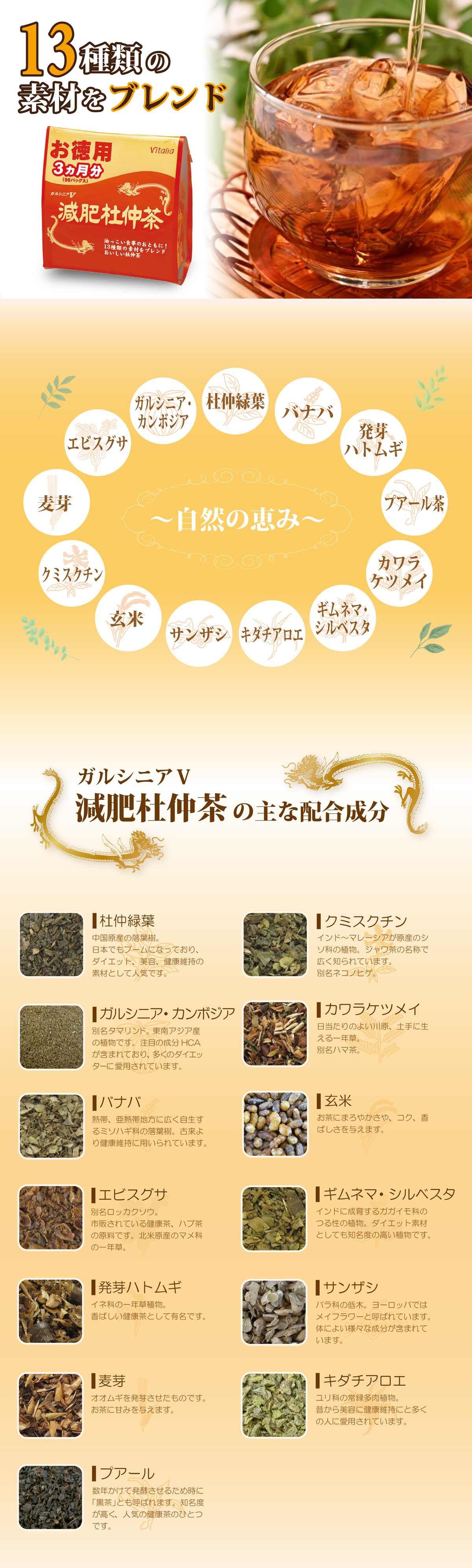 ガルシニアＶ減肥杜仲茶
