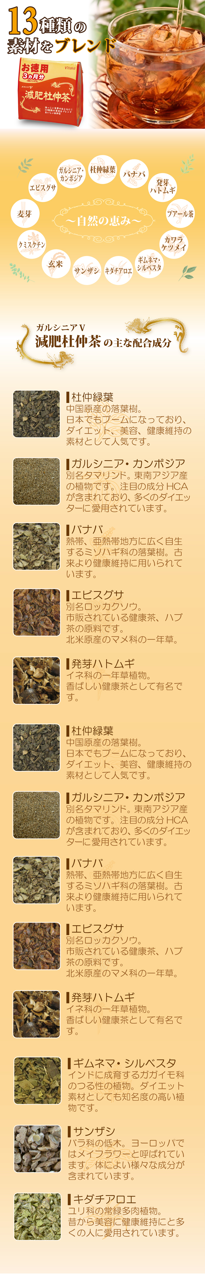 ガルシニアＶ減肥杜仲茶